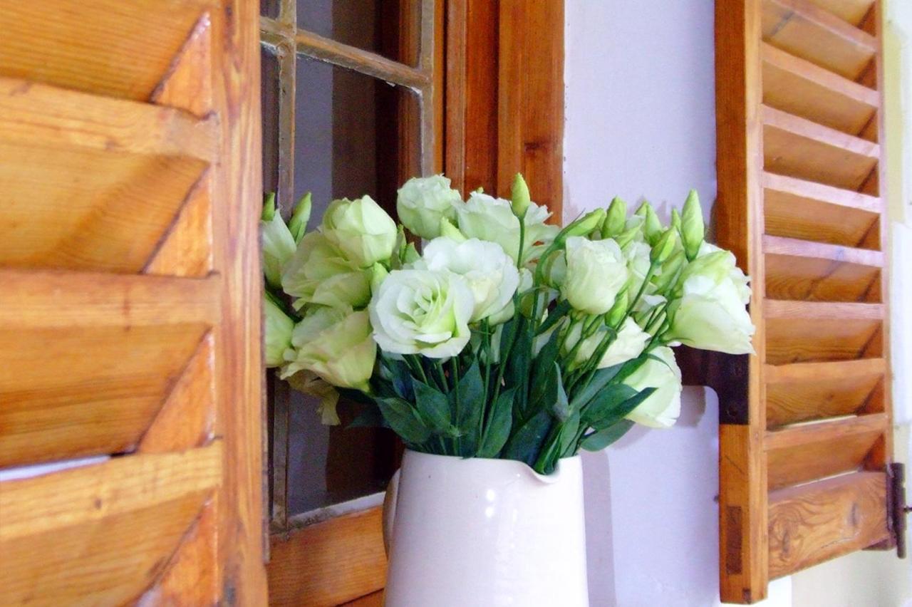 אאודטסהורן De Denne Country Guest House מראה חיצוני תמונה